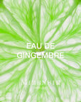 MIZENSIR EAU DE GINGEMBRE EDP 100 ML