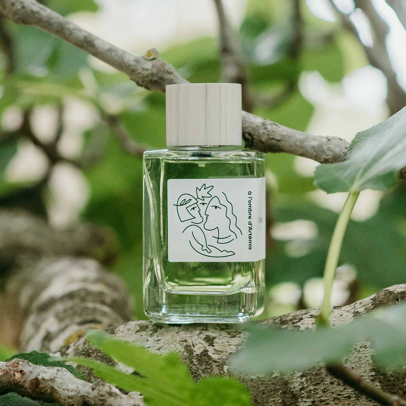 HELLENIST A L'OMBRE D'ARTEMIS EDP