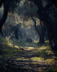 HELLENIST A L'OMBRE D'ARTEMIS EDP