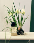 RACYNE VERDEUR EDP 50 ML