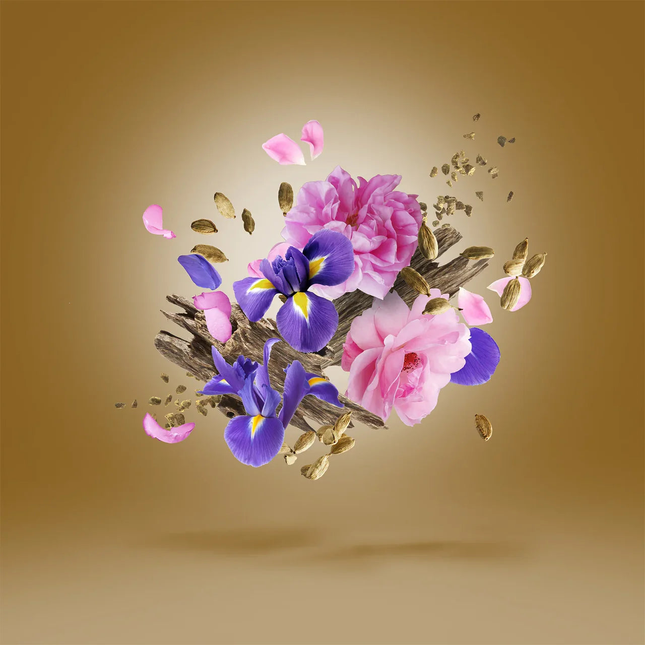 XERJOFF ALEXANDRIA II ANNIVERSARY PARFUM